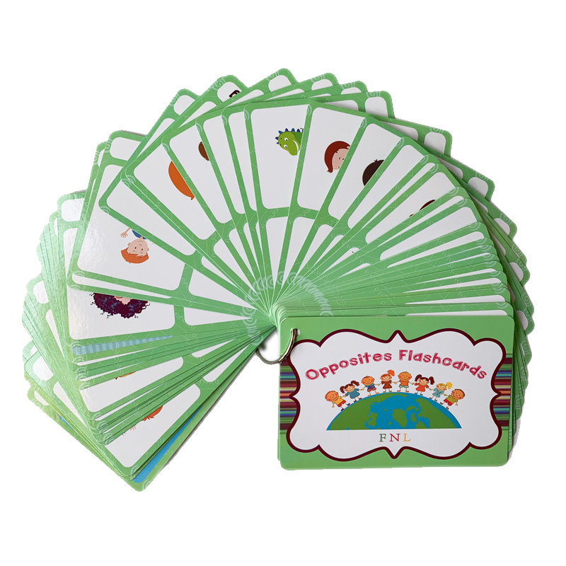 The 100 Groups Opposites Flash - Kids Education Toys 评论和价格
