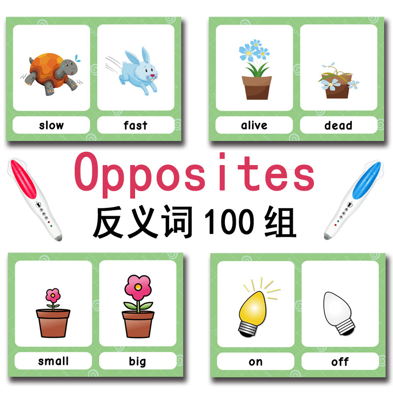 The 100 Groups Opposites Flash - Kids Education Toys 评论和价格