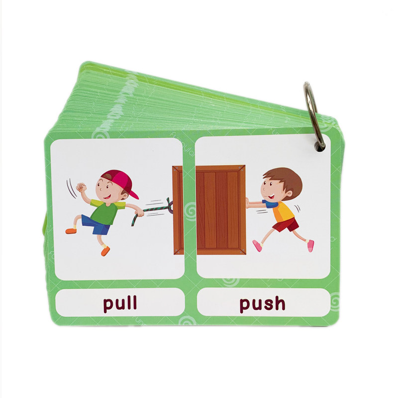 The 100 Groups Opposites Flash - Kids Education Toys 评论和价格