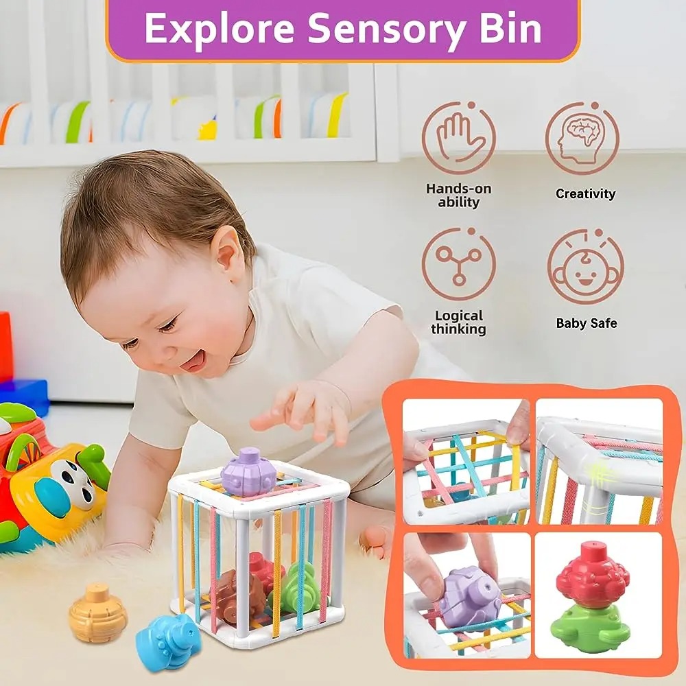 Rainbow Colorful Montessori Sh - Kids Education Toys 评论和价格