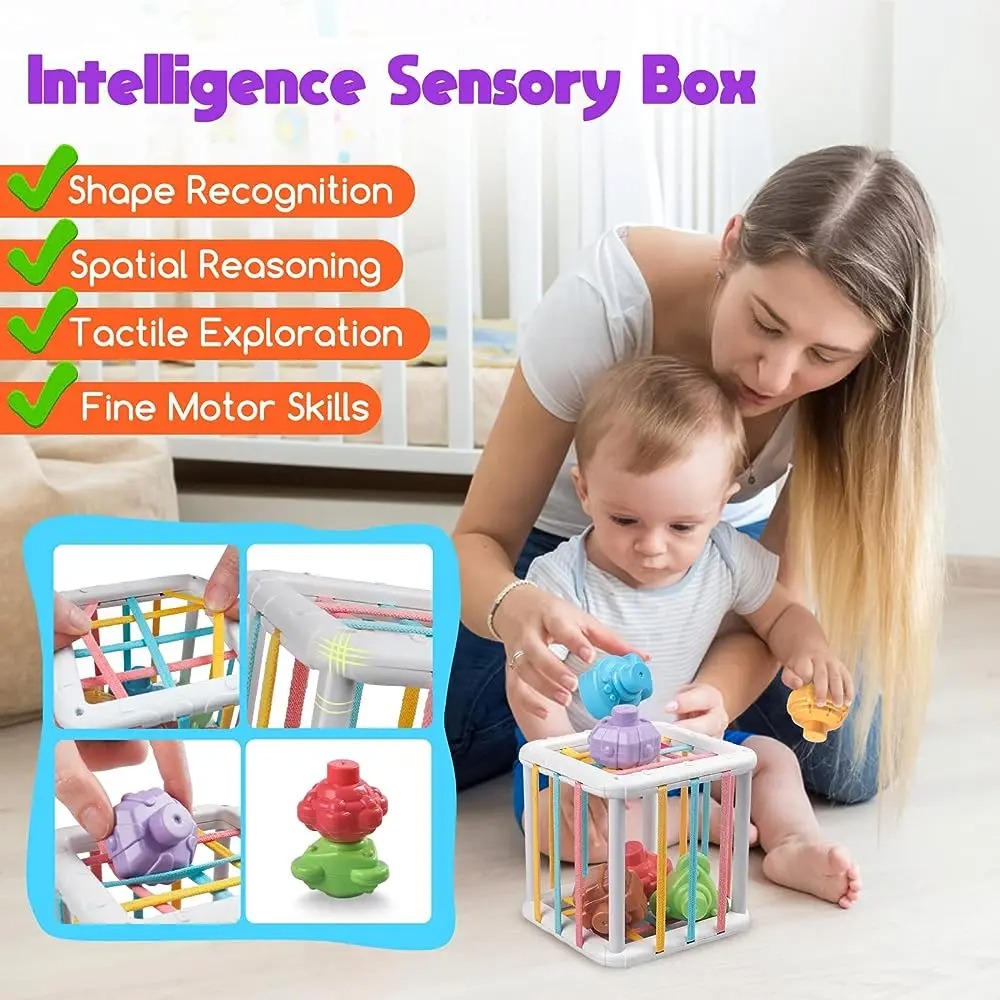 Rainbow Colorful Montessori Sh - Kids Education Toys 评论和价格
