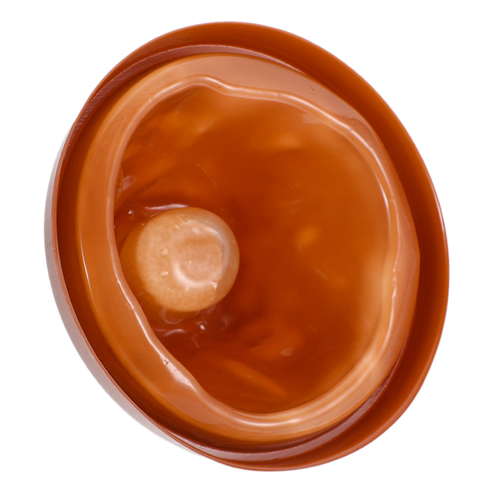 Plastic Volcano Shell and Base - Science Kit Volcano 评论和价格
